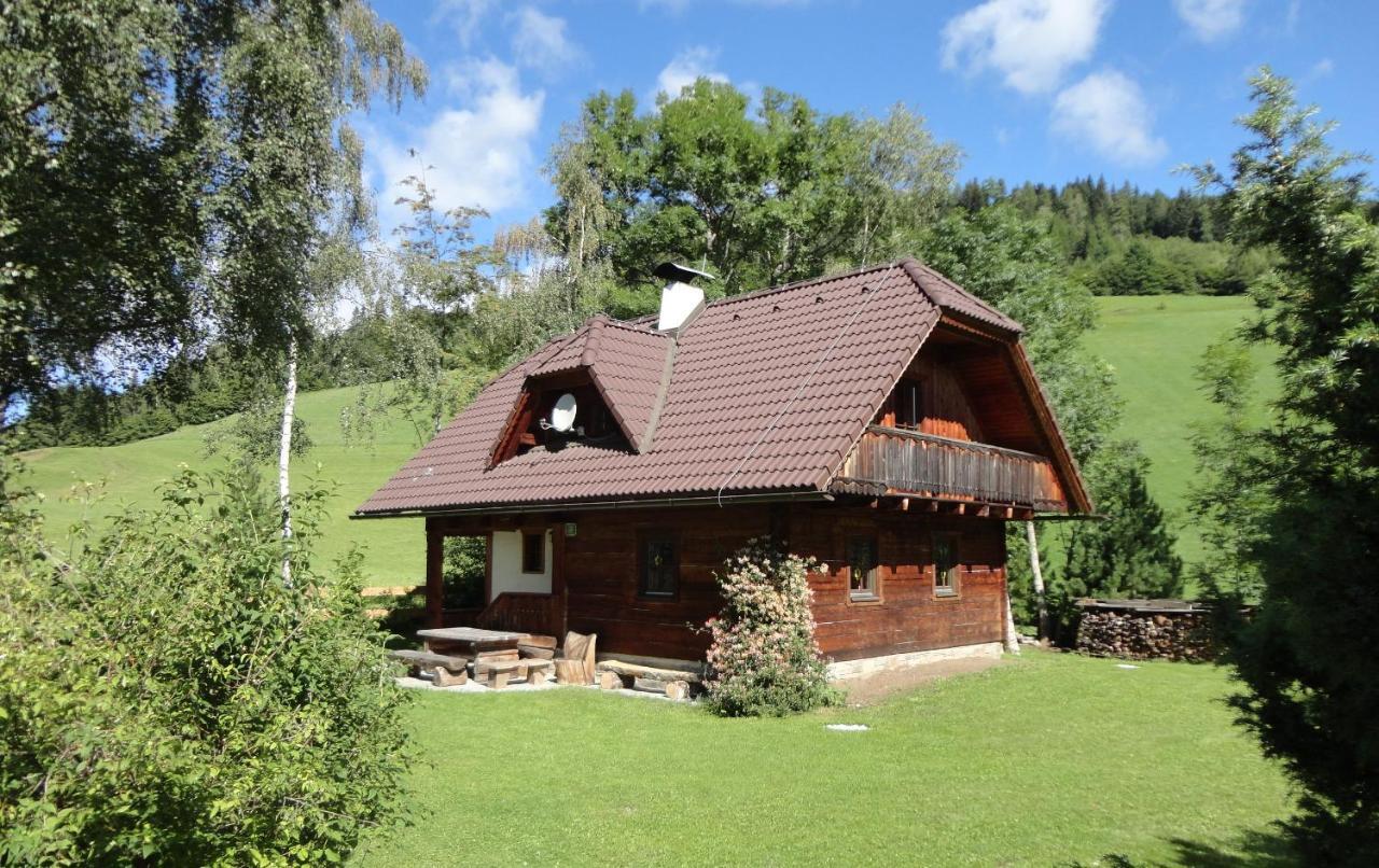 Die Petzl Hütte - Kreischbergblick Kaindorf  Exterior foto